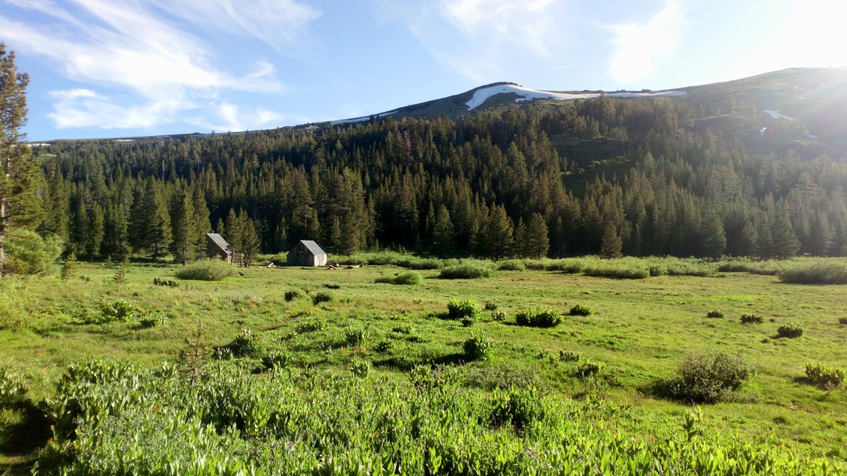 aww naw you waited too long to write again didn’t&nbsp;you