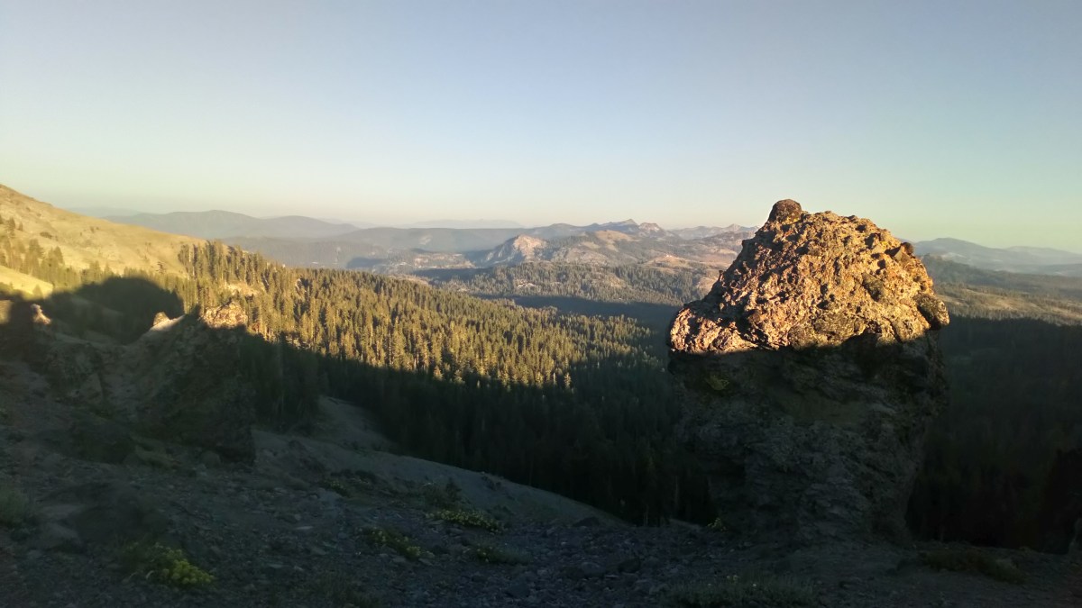 freedom day and&nbsp;beyond