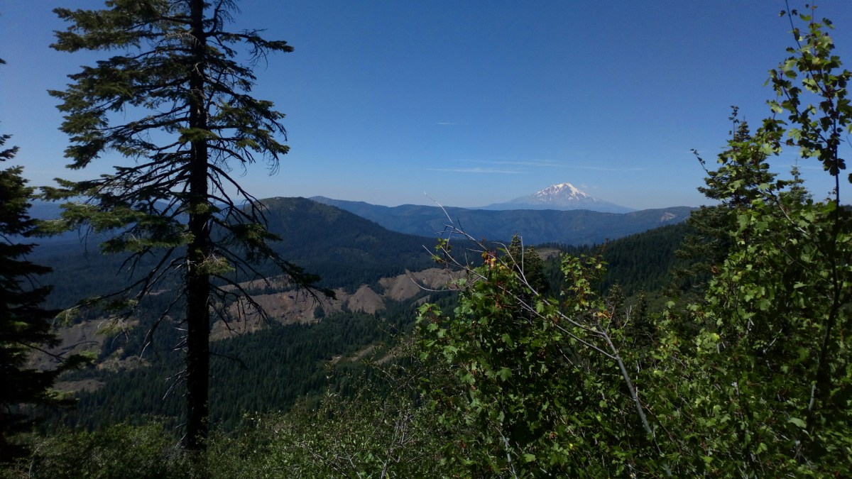 in them thick meat and&nbsp;potatoes