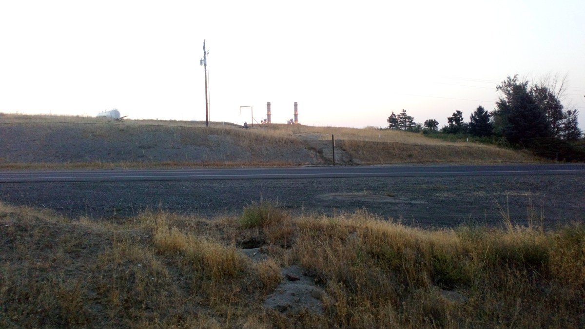 the best part of the adventure time finale was when gumbald called pb weird for making more&nbsp;bananas